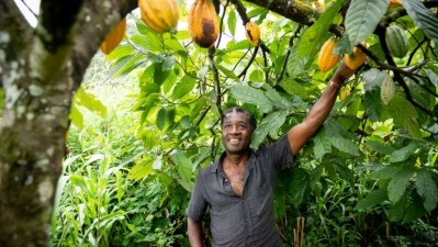 The tricot method responds to the need to involve farmers more actively in agricultural research. Image: Getty/Media Lens King