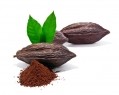 In order to conform to the EUDR, cocoa must be traceable. Image Source: Getty Images/MilenaKatzer