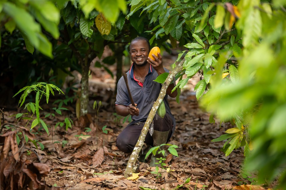 EU Legislation Will Make European Consumption Deforestation-Free